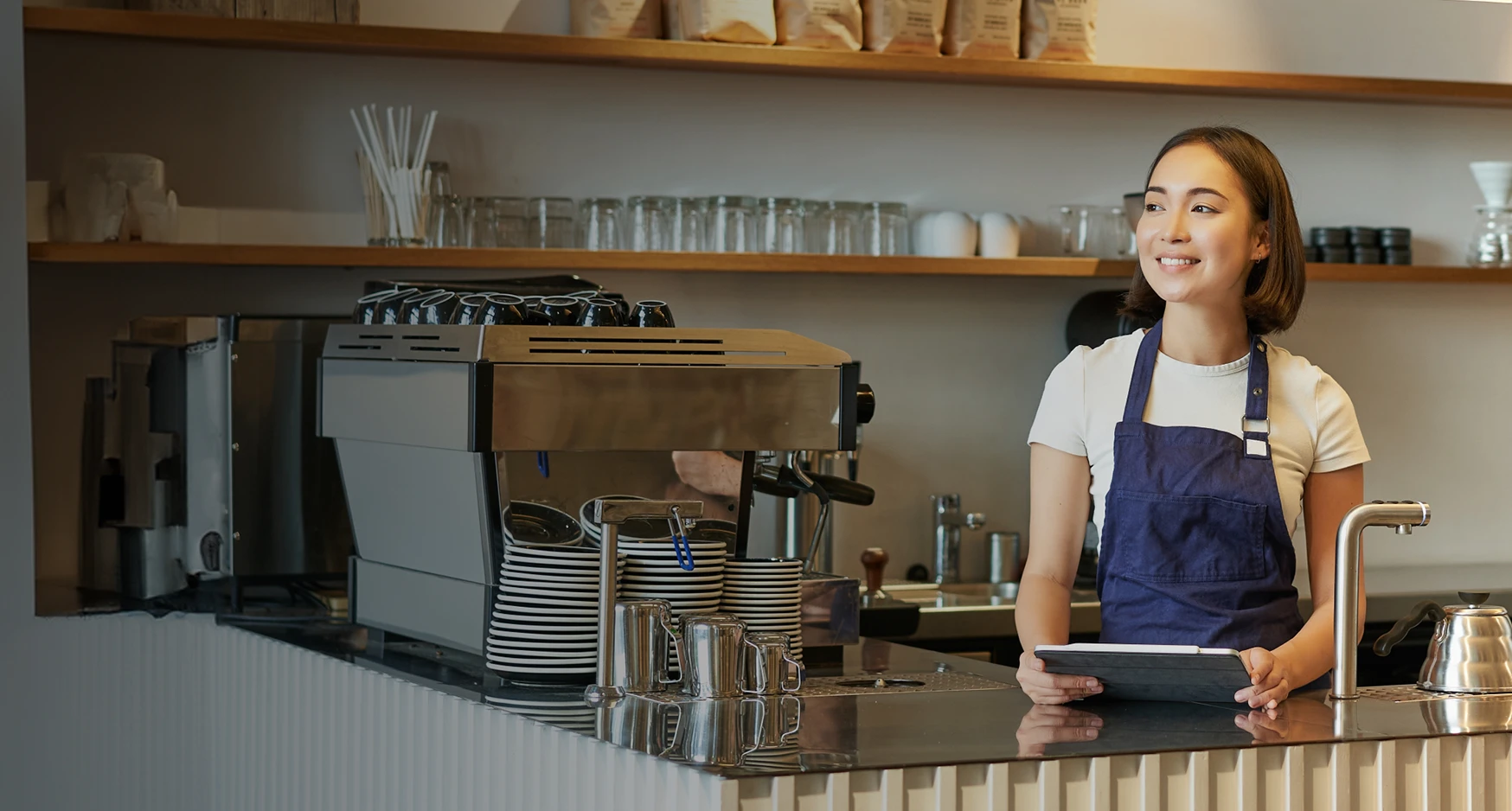 Linga POS background